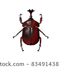 甲蟲 83491438