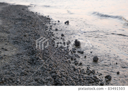 Pumice stones washed ashore in the sea of Okinawa Pumice stones washed ashore in the sea of Okinawa 83491503