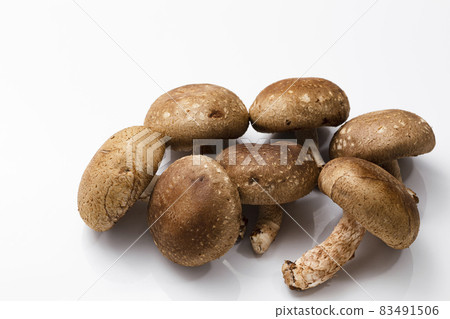 White back mushroom White back mushroom 83491506