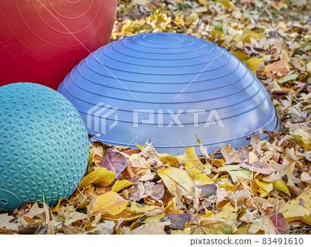 Balance training and slam balls in backyard 83491610