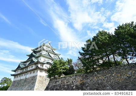 名古屋城的石牆和天守閣 83491621