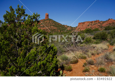 通往塞多納煙囪岩的小徑 83491922