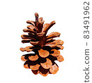 Cone isolated on white background. JPG format cone, needles and Christmas tree 83491962
