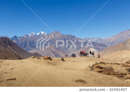 group of tourists at the viewpoint group of tourists at the viewpoint 83492407
