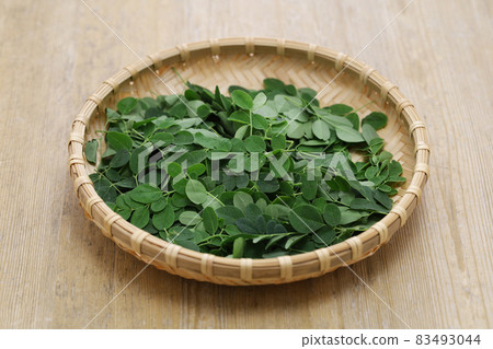 Moringa 83493044
