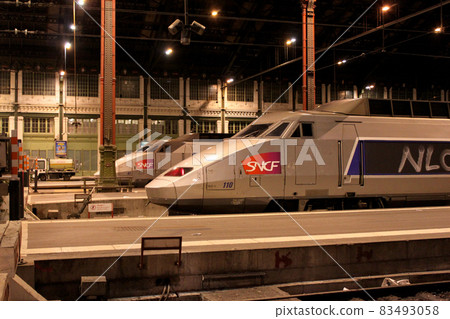 Gare de Lyon platform 83493058