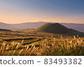 阿蘇火山口芒草和米塚夜景 83493382