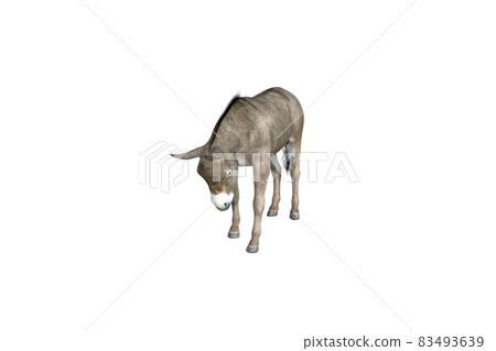 Photo-realistic illustration of the donkey with different poses and angles. 3D rendering illustration. Photo-realistic illustration of the donkey with different poses and angles. 3D rendering illustration. 83493639