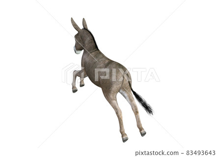 Photo-realistic illustration of the donkey with different poses and angles. 3D rendering illustration. 83493643