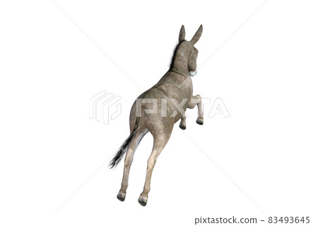 Photo-realistic illustration of the donkey with different poses and angles. 3D rendering illustration. 83493645