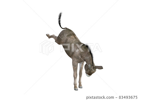 Photo-realistic illustration of the donkey with different poses and angles. 3D rendering illustration. 83493675