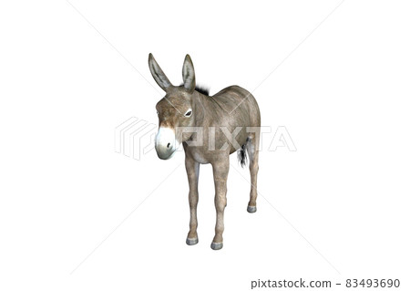 Photo-realistic illustration of the donkey with different poses and angles. 3D rendering illustration. 83493690