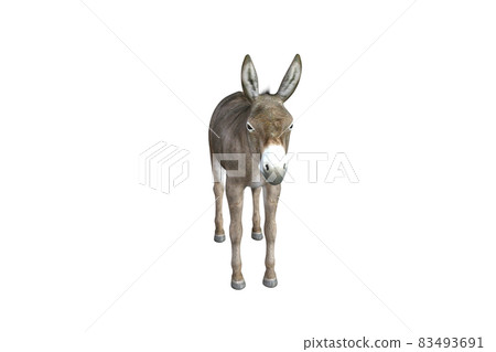 Photo-realistic illustration of the donkey with different poses and angles. 3D rendering illustration. 83493691