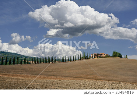 Bagno Vignoni, Tuscany, Italy. August 2020. The amazing Tuscan countryside: the photo highlights the cypress-lined avenue of a farmhouse on top of a hill 83494019