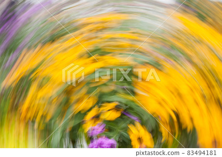 Abstract blurred photo in motion of bright yellow Rudbeckia Fulgida cone flowers with dark brown capitula are blossoming in the garden at summer. Abstract blurred photo in motion of bright yellow Rudbeckia Fulgida cone flowers with dark brown capitula are blossoming in the garden at summer. 83494181