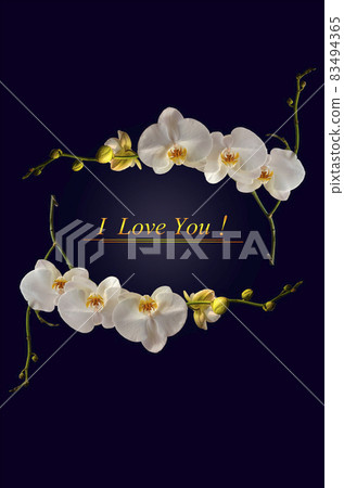 Greeting card on a dark blue background with a frame of twigs of blooming white Phalaenopsis orchid with the inscription "I love you!" Greeting card on a dark blue background with a frame of twigs of blooming white Phalaenopsis orchid with the inscription "I love you!" 83494365