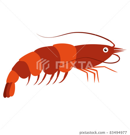 Beautiful cartoon illustration with colorful sea animals shrimp on white background for print design. Kid graphic. Sea underwater life. Vector isolated hand drawing. Beautiful cartoon illustration with colorful sea animals shrimp on white background for print design. Kid graphic. Sea underwater life. Vector isolated hand drawing. 83494977