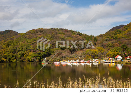 Lake Haruna in autumn, Gunma prefecture 83495215
