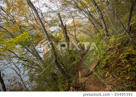 Autumn Haruna mountain lakeside hiking course 83495391