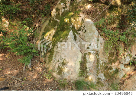 Tottori Castle Ruins Stone Quarry Tottori Castle Ruins Stone Quarry 83496845