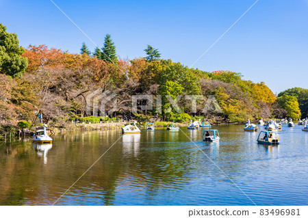 井之頭公園秋日假期風光 83496981