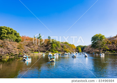 Inokashira Park Autumn holiday scenery Inokashira Park Autumn holiday scenery 83496984