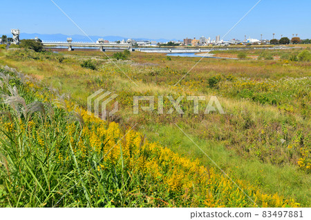 Nikaryo Kamigawara Dam / Tama River Viewed from Kawasaki City side (Kawasaki City, Kanagawa Prefecture) [2021.10] 83497881