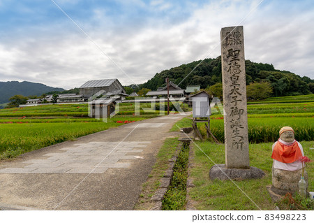 Rice terraces and cluster amaryllis in front of Tachibana Temple in autumn in Asuka Village, Nara Prefecture 83498223