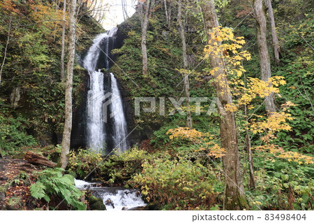 Oirase Autumn Leaves 2021 (Kumoi Falls) Oirase Autumn Leaves 2021 (Kumoi Falls) 83498404
