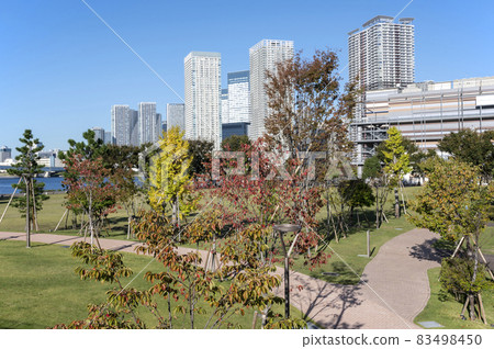 Scenery of buildings around Toyosu, Tokyo 83498450