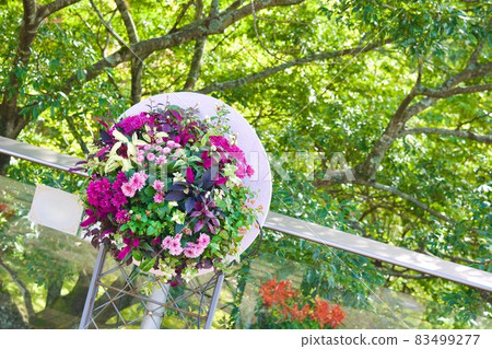 Hanging basket with a forest in the background Sanin Autumn in Tottori Prefecture Hanging basket with a forest in the background Sanin Autumn in Tottori Prefecture 83499277