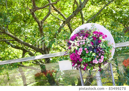Hanging basket with a forest in the background Sanin Autumn in Tottori Prefecture Hanging basket with a forest in the background Sanin Autumn in Tottori Prefecture 83499278