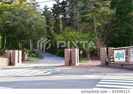 Yamanakako Literature Forest Main Gate and Literature Forest along National Highway 138 Yamanakako Literature Forest Main Gate and Literature Forest along National Highway 138 83499315