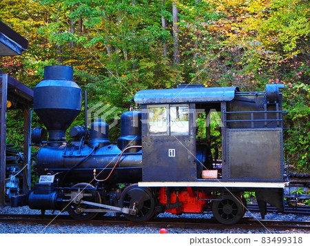 赤澤森林鐵路紀念列車 83499318