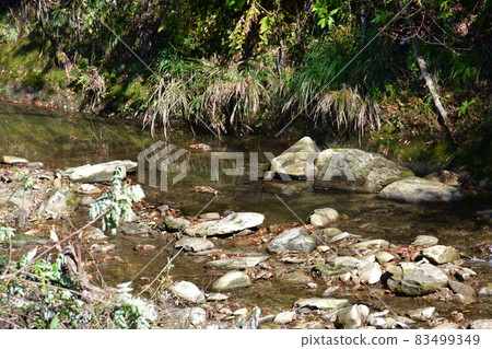 Autumn leaves in the Yoro Valley a little earlier Autumn leaves in the Yoro Valley a little earlier 83499349