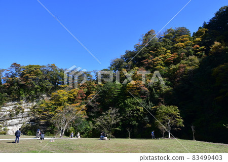 Autumn leaves in the Yoro Valley a little earlier 83499403