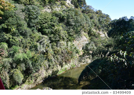 Autumn leaves in the Yoro Valley a little earlier 83499409