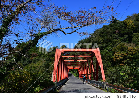 Autumn leaves in the Yoro Valley a little earlier Autumn leaves in the Yoro Valley a little earlier 83499410