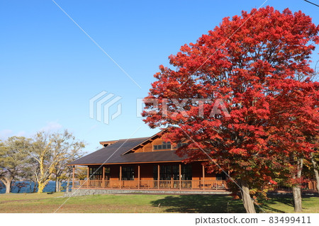 十和田湖的紅葉2021 十和田湖的紅葉2021 83499411
