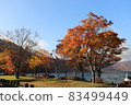 十和田湖的紅葉2021 83499449