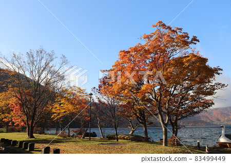 十和田湖的紅葉2021 十和田湖的紅葉2021 83499449
