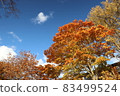 十和田湖的紅葉2021 83499524