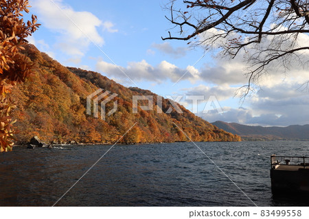 十和田湖的紅葉2021 十和田湖的紅葉2021 83499558