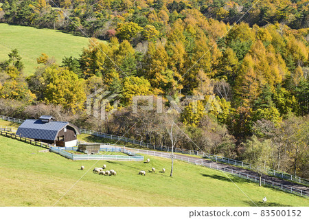 八岳牧場牧葉公園 83500152