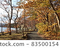 十和田湖的紅葉2021 83500154