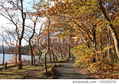 十和田湖的紅葉2021 83500154