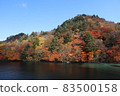 十和田湖的紅葉2021 83500158