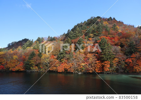 十和田湖的紅葉2021 十和田湖的紅葉2021 83500158