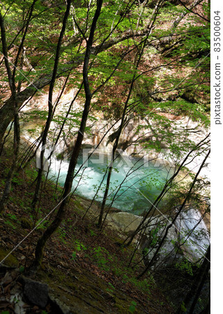 Fresh green Nishizawa valley Fresh green Nishizawa valley 83500604