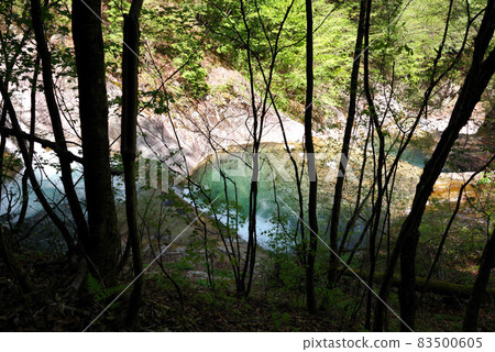 Fresh green Nishizawa valley Fresh green Nishizawa valley 83500605
